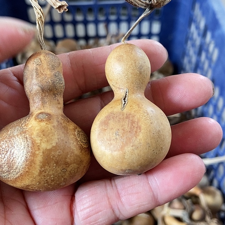 酱*?Dbbxjxksosxjhds