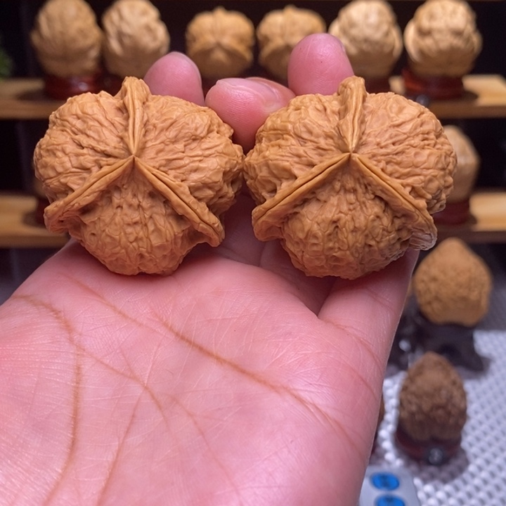 木质类云铁古龙三棱107号