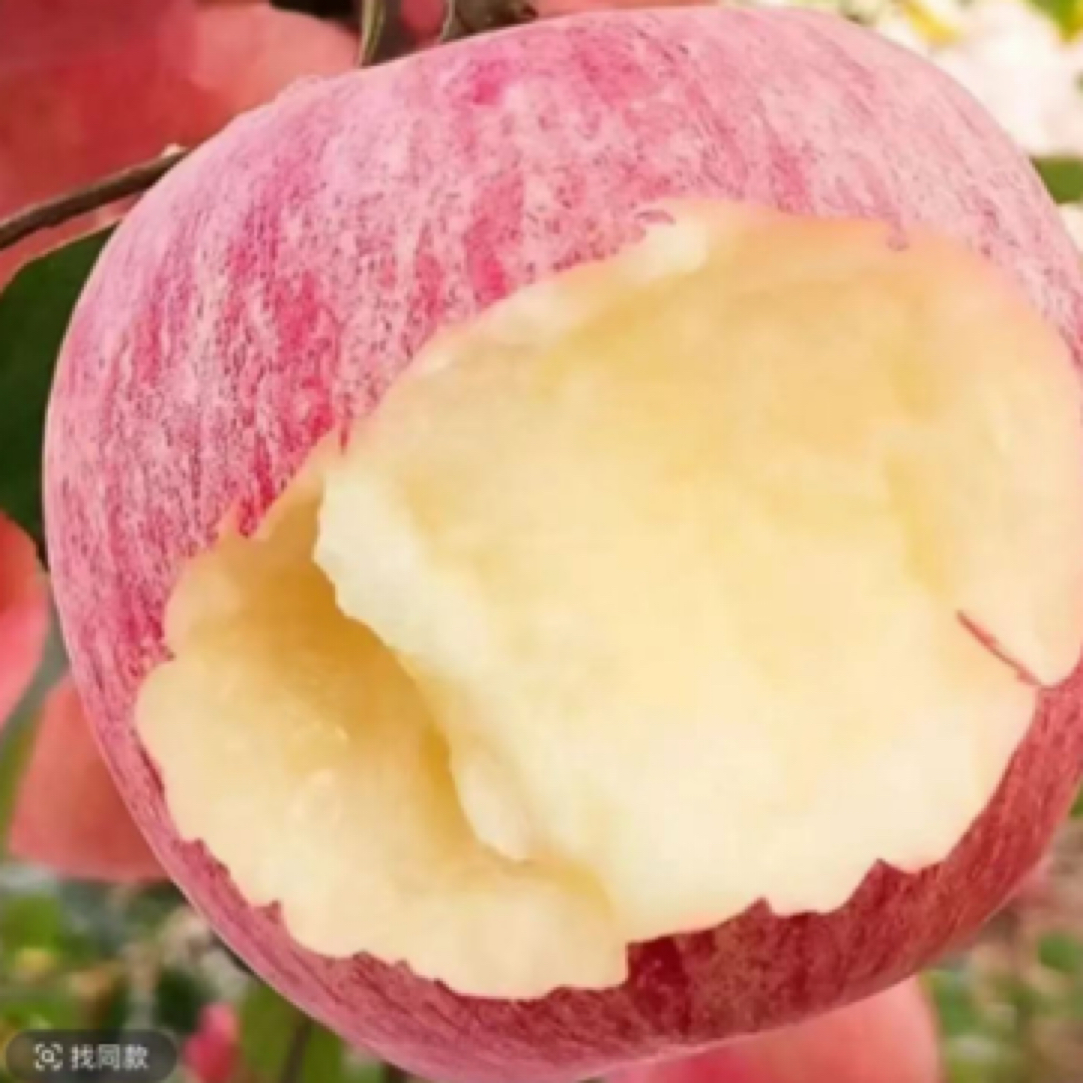 陕西红富士苹果脆甜多汁新鲜水果产地直发