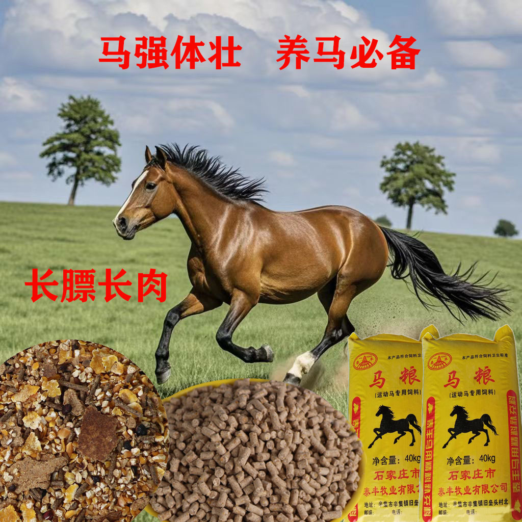 小马马驹运动马赛马育肥马成年马专用饲料颗粒粉料马粮拉股架营养