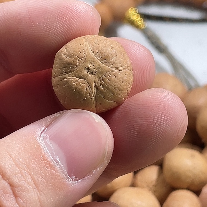 吊坠凤眼菩提尼泊尔小凤眼