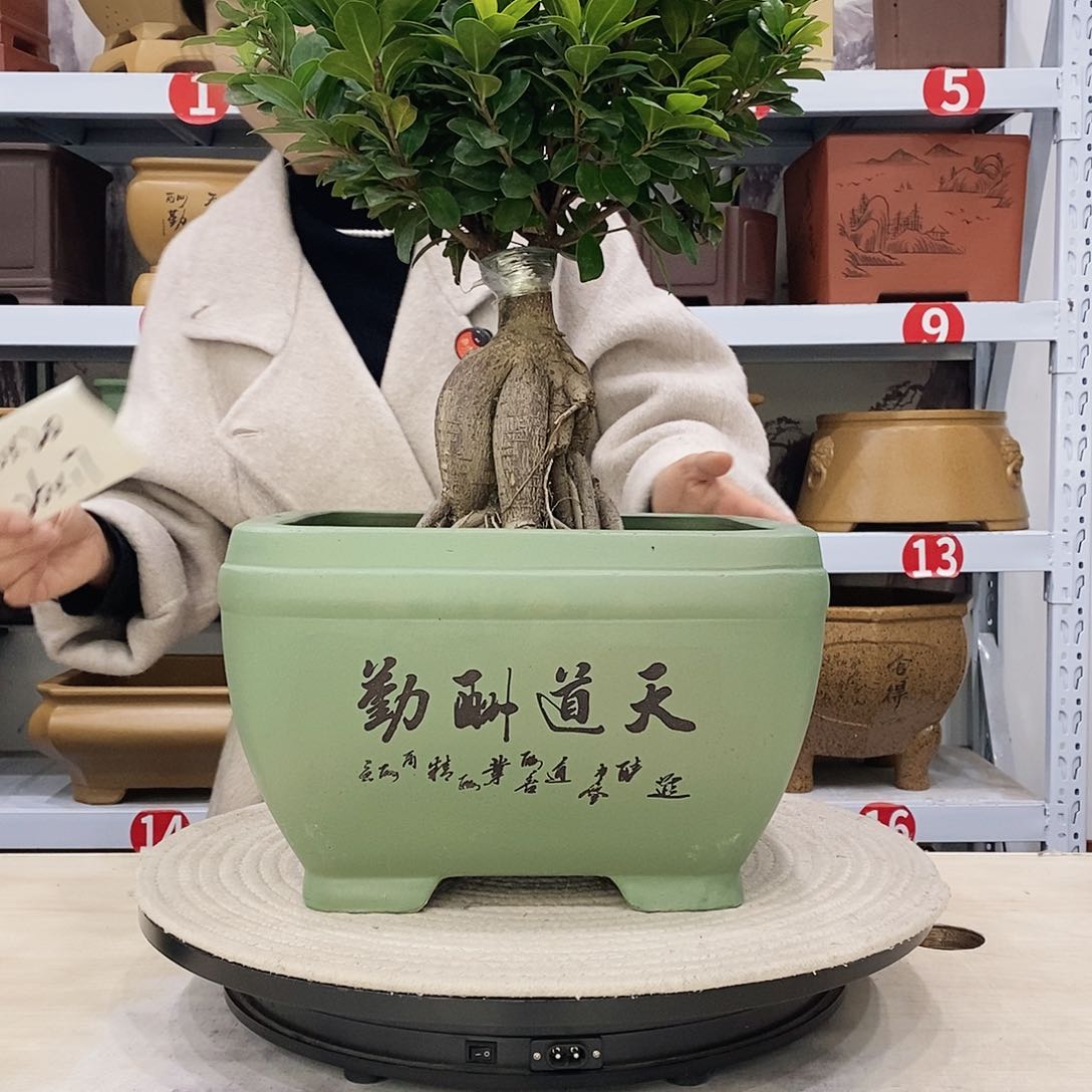 紫砂花盆紫砂花盆