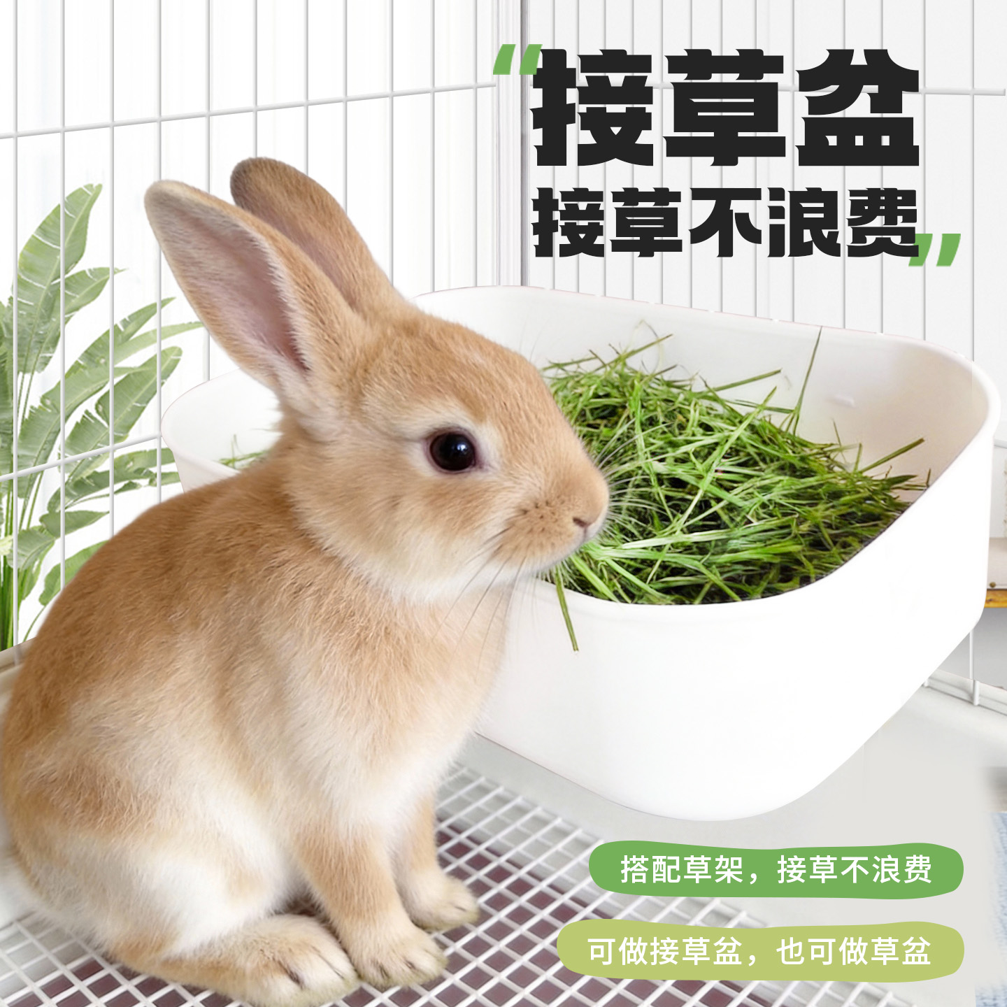兔子接草盆防漏防浪费接草盆豚鼠龙猫兔子用品防扒草大容量