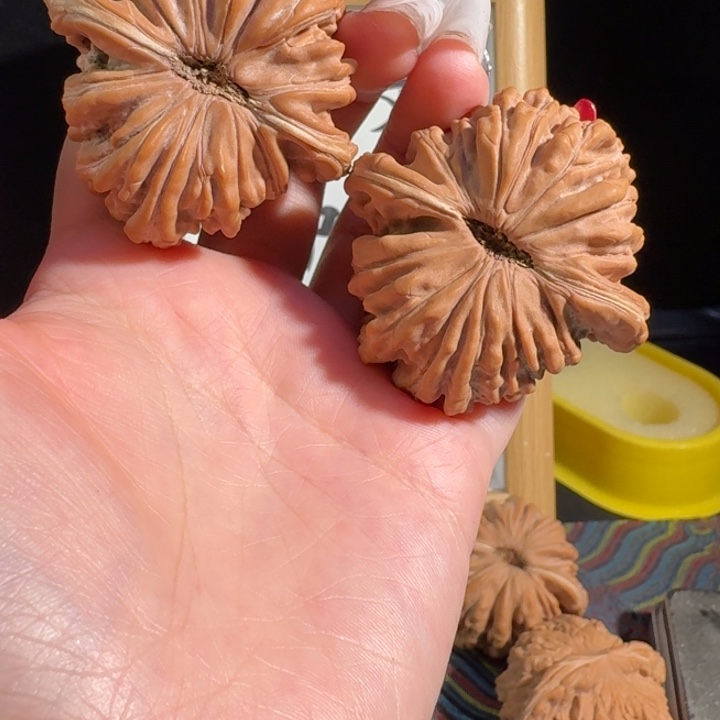 文玩核桃吊坠万****?234567899334