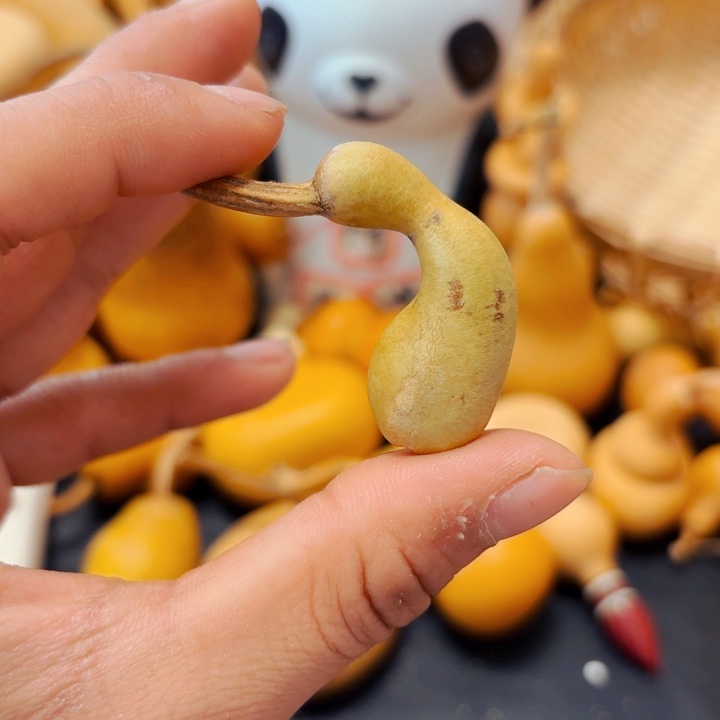 .*七88888888888888888