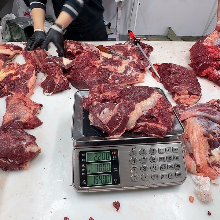 ****12个月中国大陆肋条