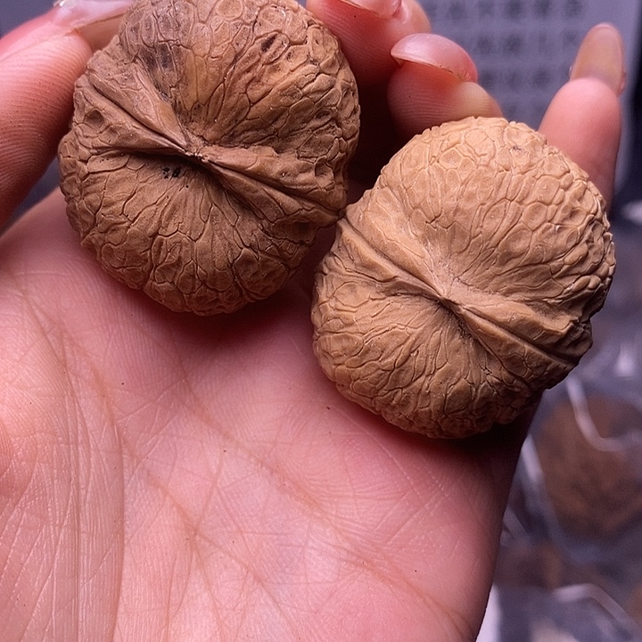 核桃云南野生铁核桃35号37mm
