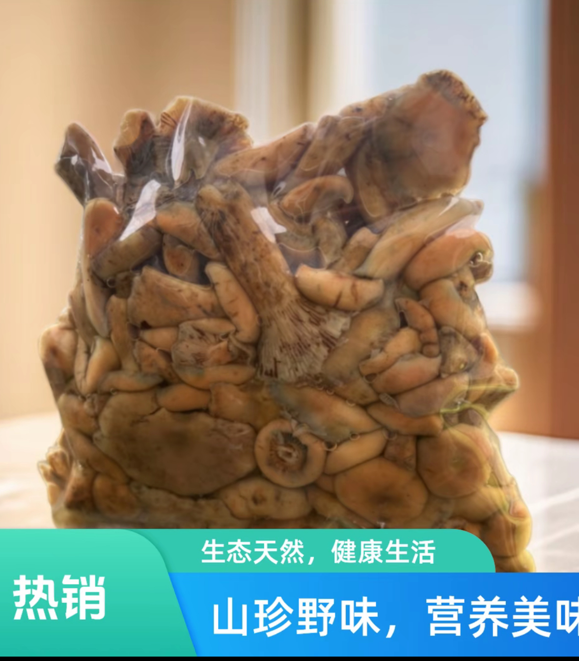 焯水  发货    中大朵   土家族 野生枞树菌 新鲜现采焯水发货