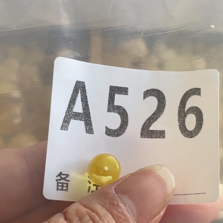 琥珀未镶嵌裸石微瑕9.0