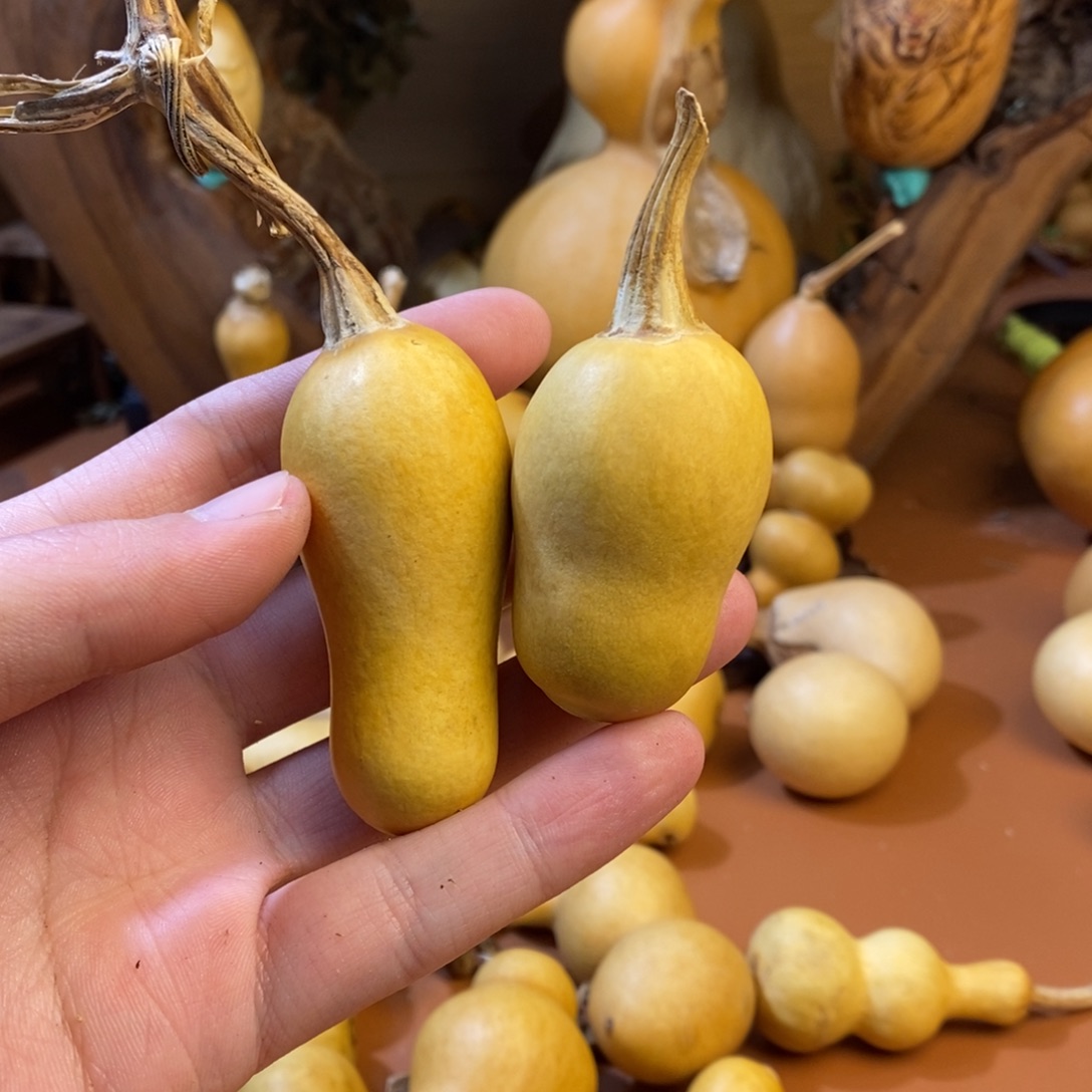 邹***吉桂林教练教练教练经理