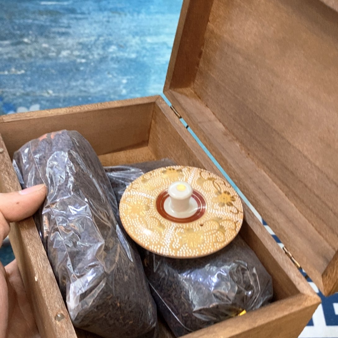 瓷片哈哈哈哈哈哈