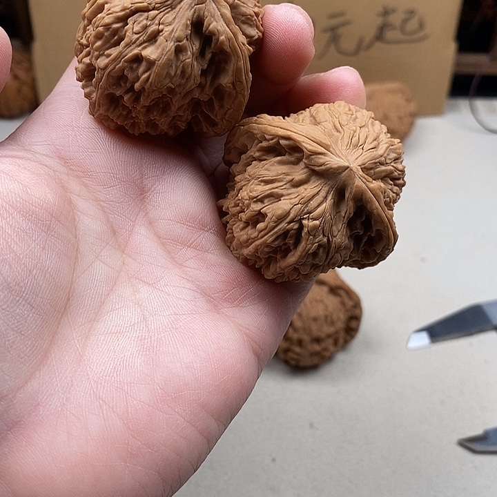 经***武吊坠龙脊菩提54.54.54.54.54