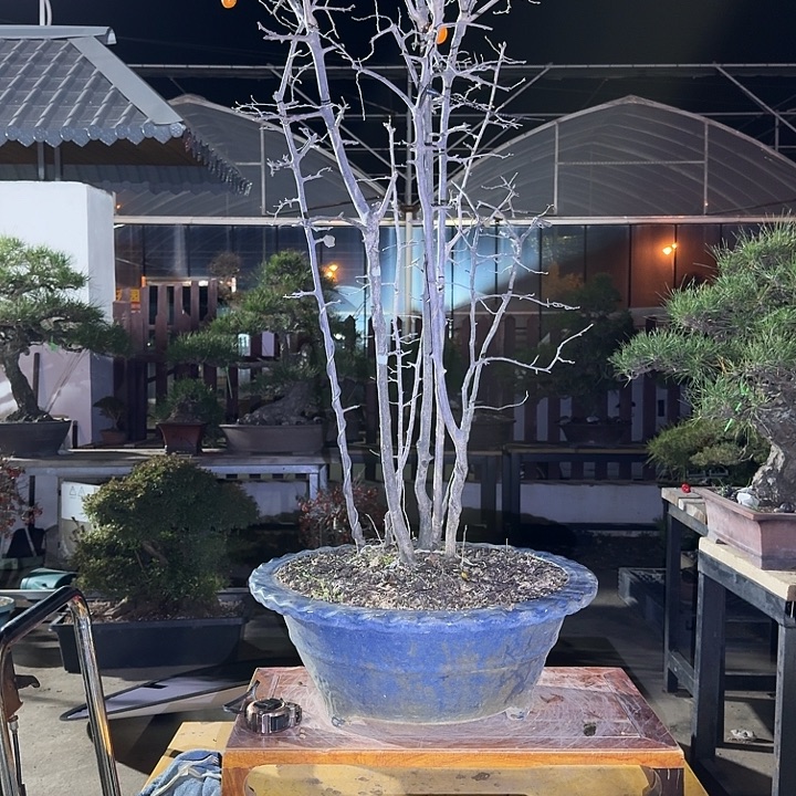 完全开放850不包邮