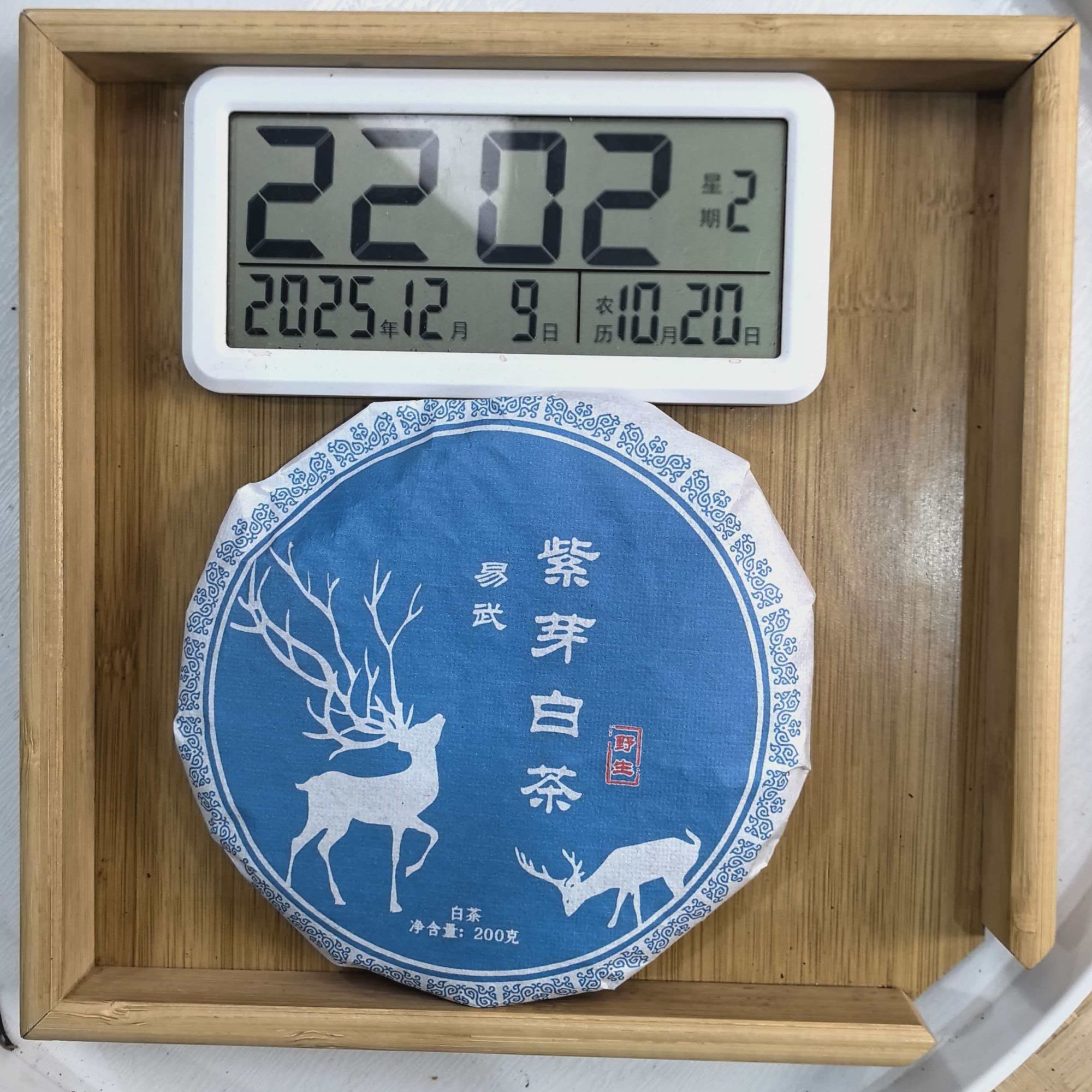 刀刃严选-2808号2023年易武荒野紫芽白茶饼200g12-09