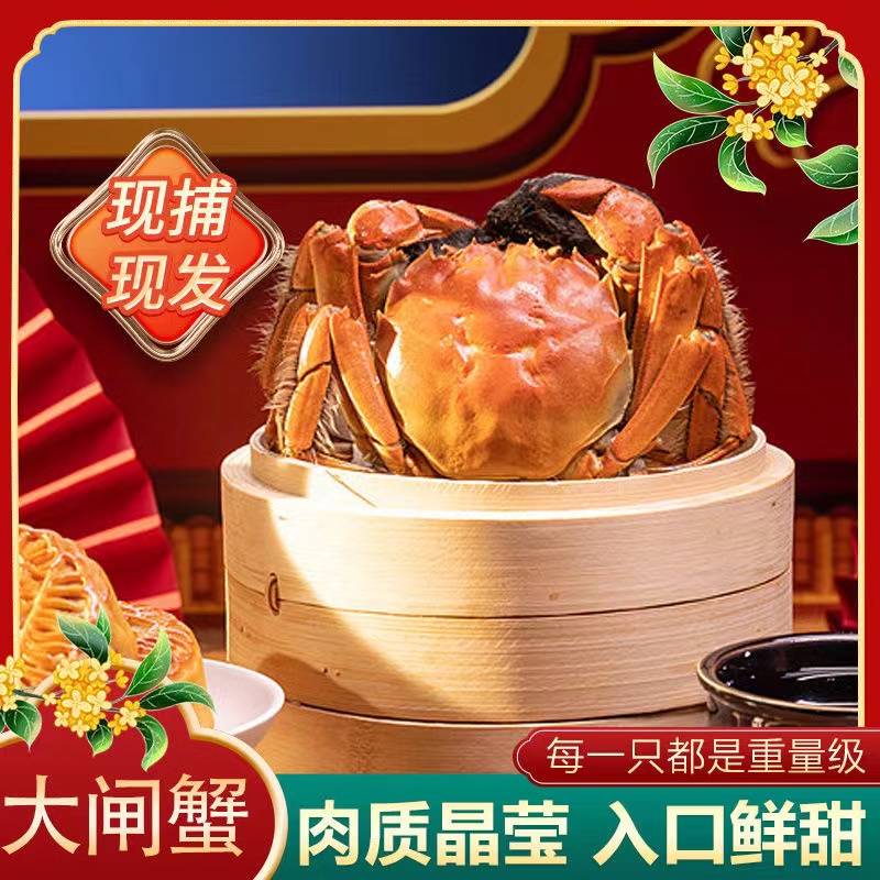 【活蟹】大闸蟹公蟹（5.2两-4.9两/只）/公蟹 6只/