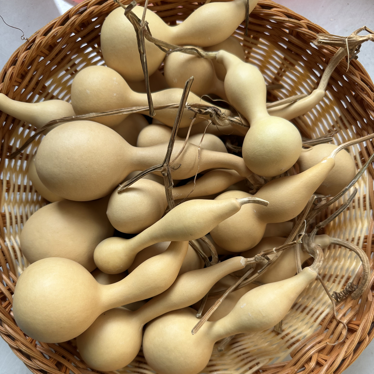 天然本捻蚂蚁葫芦 通货 （不包龙头 不退不换）介意勿拍