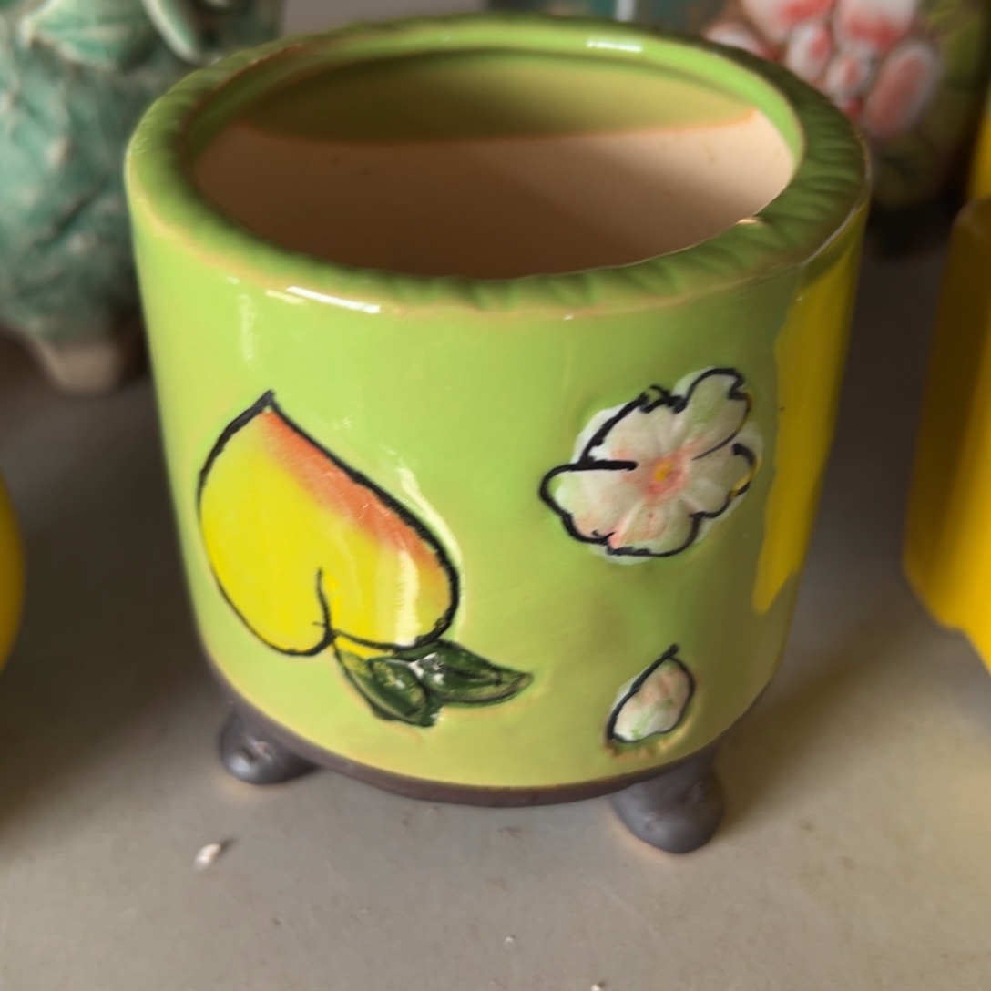 花盆，满20发货爱退款拉黑