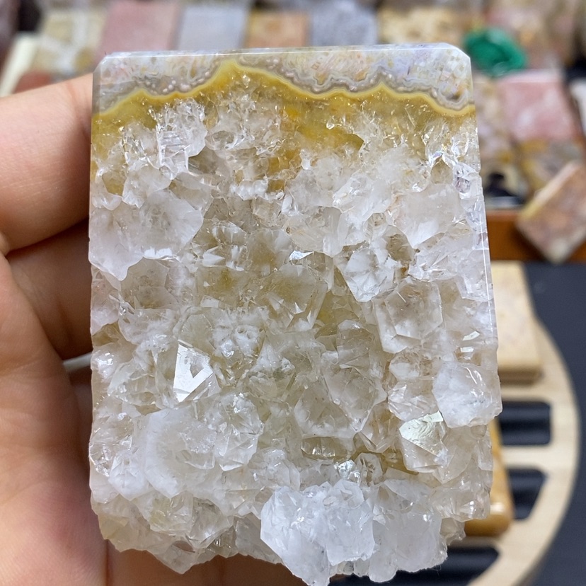 【闪购商品】硅化珊瑚（珊瑚玉）颈饰未镶嵌K28