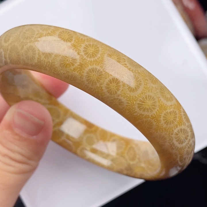 硅化玉未镶嵌颈饰60.7