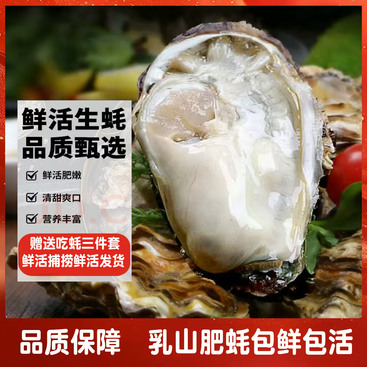 【买5斤送3斤/买3斤送2斤】鲜活乳山生蚝鲜活牡蛎海蛎子特大牡蛎A