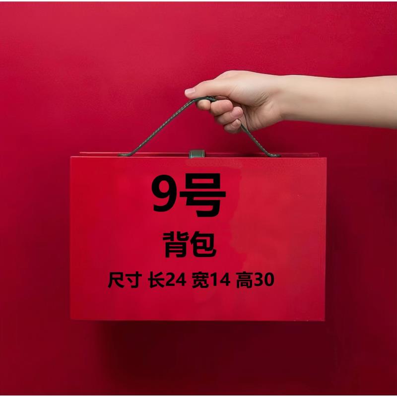 【9号】BL2024网红休闲轻奢双肩横拉背包8115