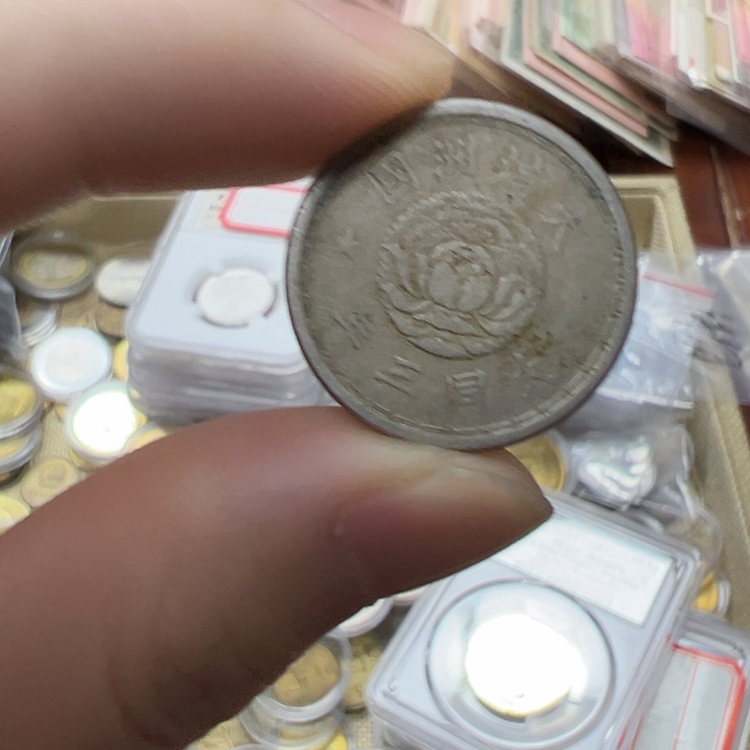 拍品。             