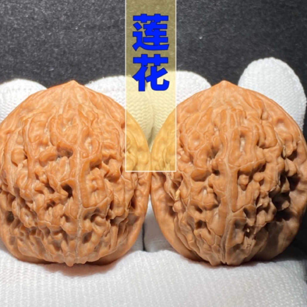 莲花 文玩核桃天花板 玩家热搜品种 纹路皮色都很漂亮 收藏佳品