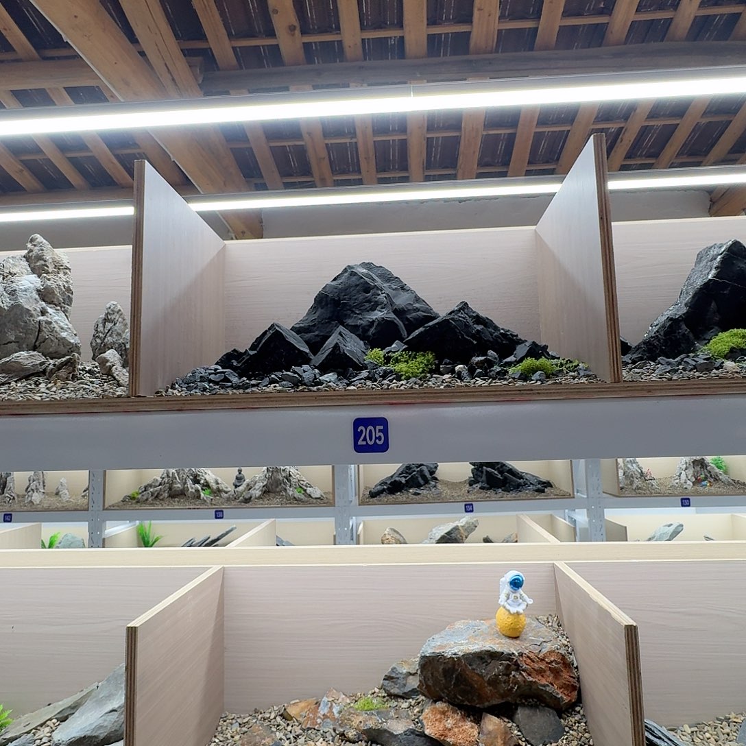 205号造景送底沙10斤1-4