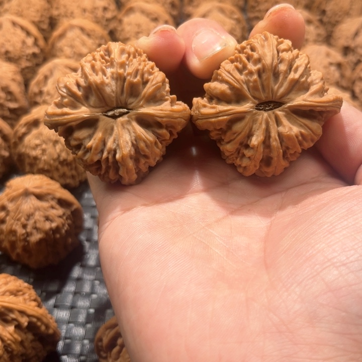 文**儿南疆石45尺南疆