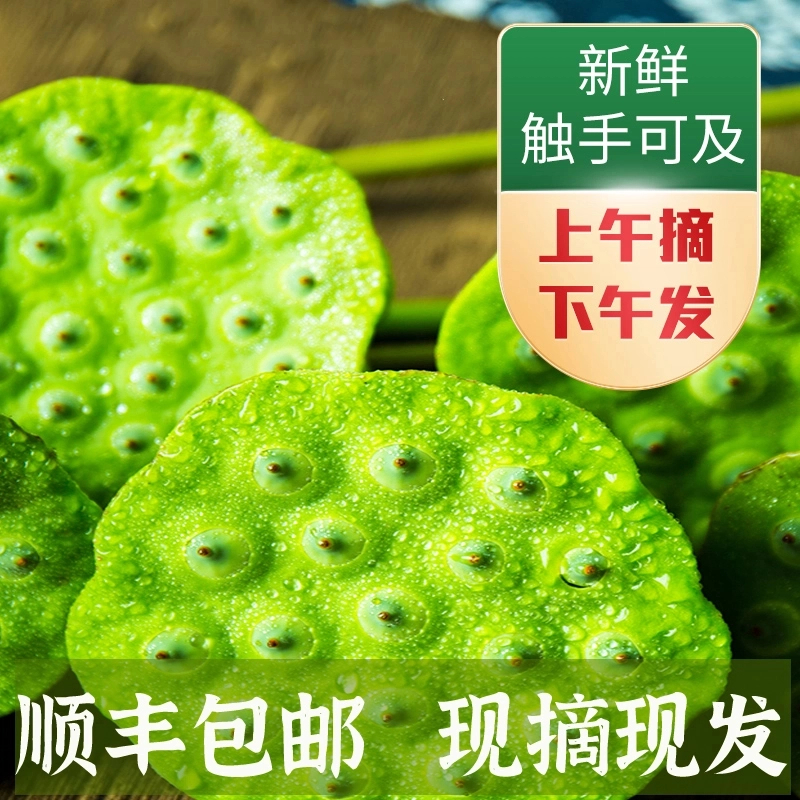 新鲜莲蓬 现摘现发鲜嫩水果莲蓬 嫩甜莲子米生吃 1斤顺丰快递