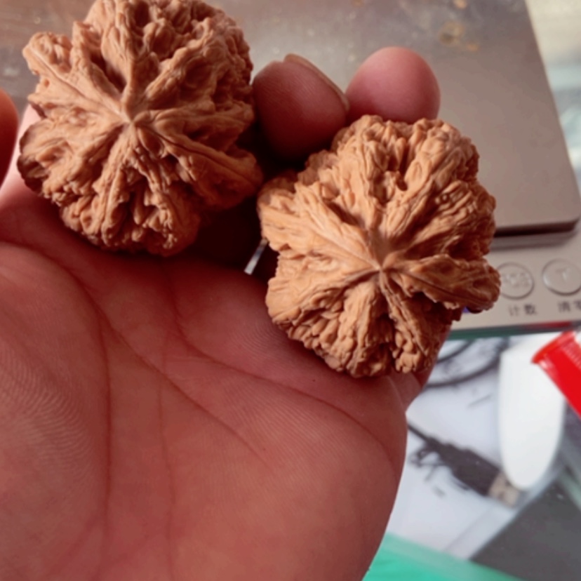 【闪购商品】暗**、46尺寸全品无修大粗筋