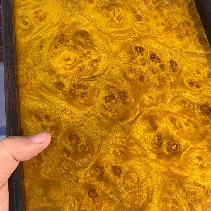 木黄金樟瘤疤独板托盘