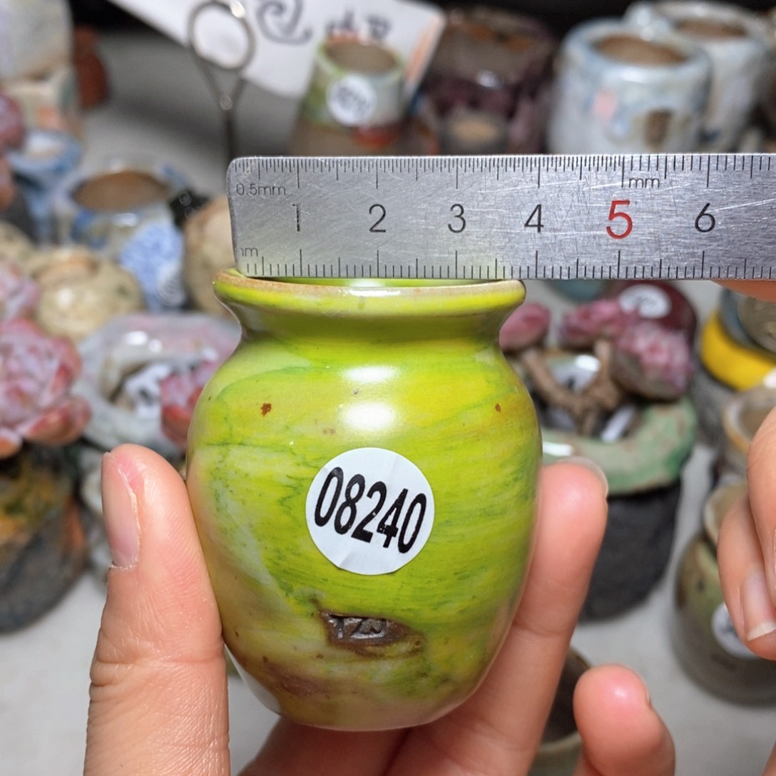 花盆拍5送一个小礼物