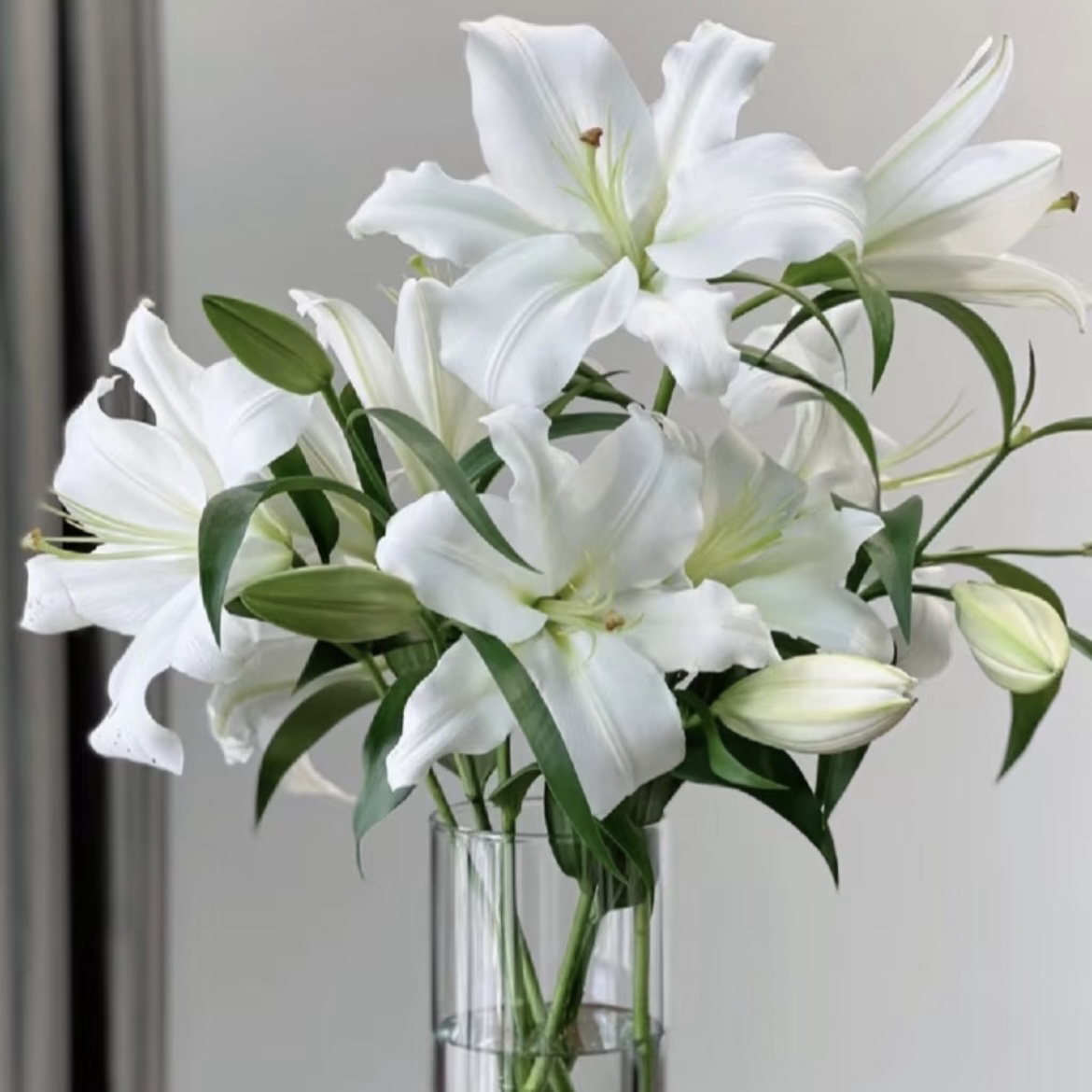 家居瓶插花百合花5支