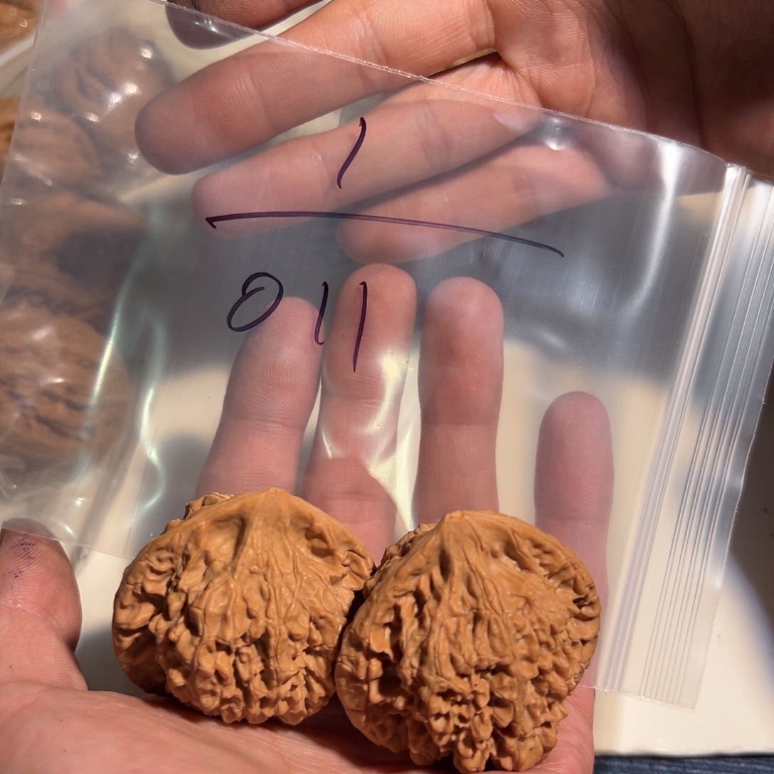 核桃手串/手链011