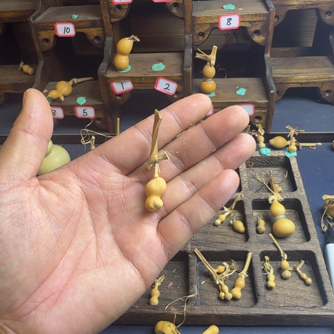 洋*洋我是一只小小鸟地域鬼知道我怎么