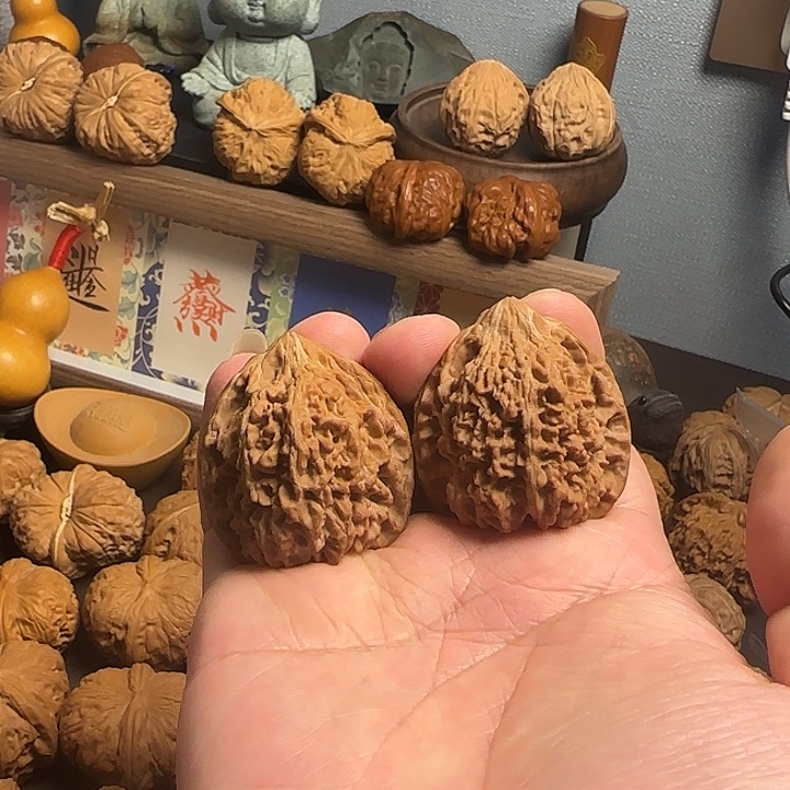 吊坠文玩核桃37原桩满天星核桃无修