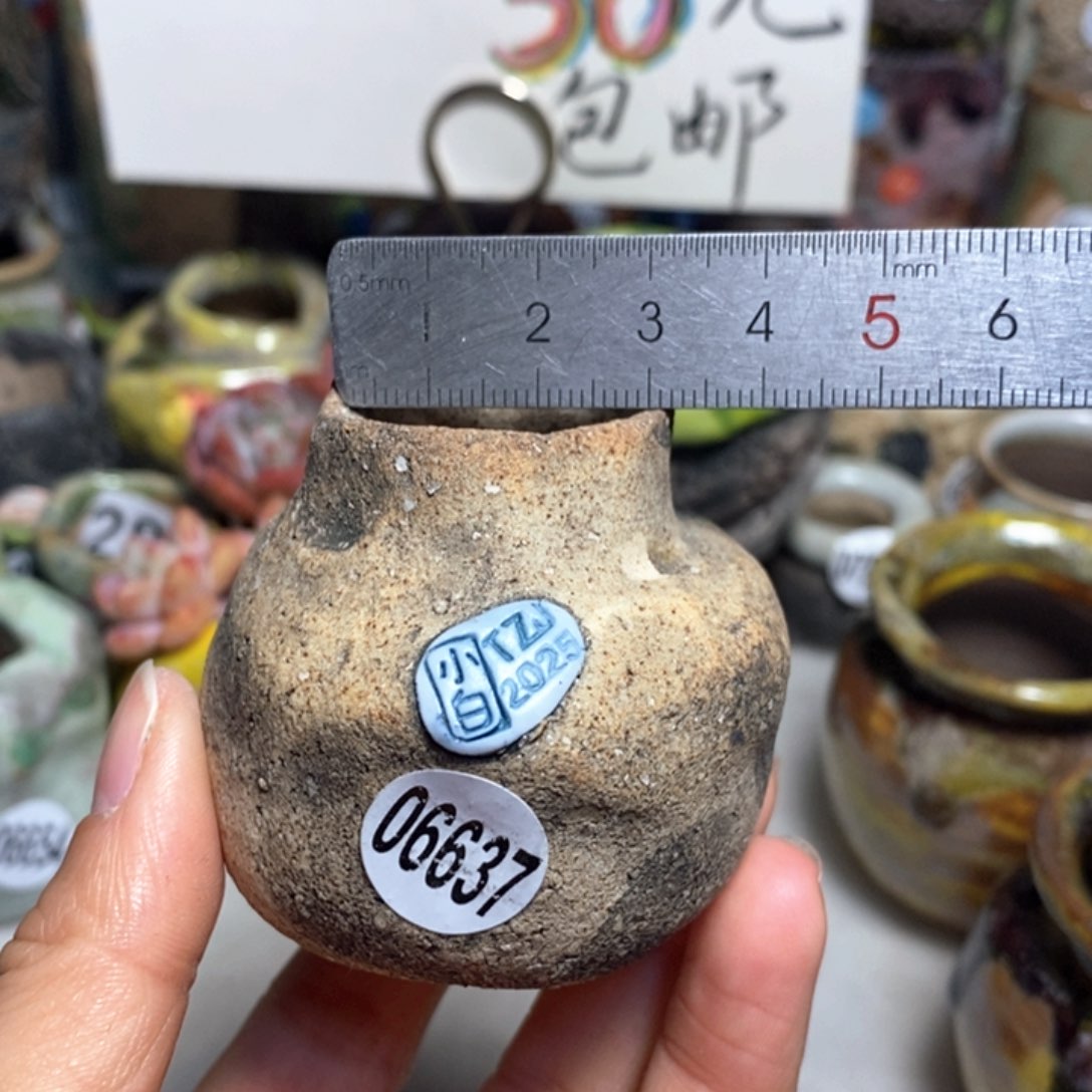 花盆拍3送一个小礼物