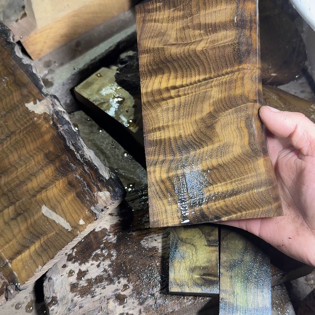 被***天金丝楠木小叶桢楠