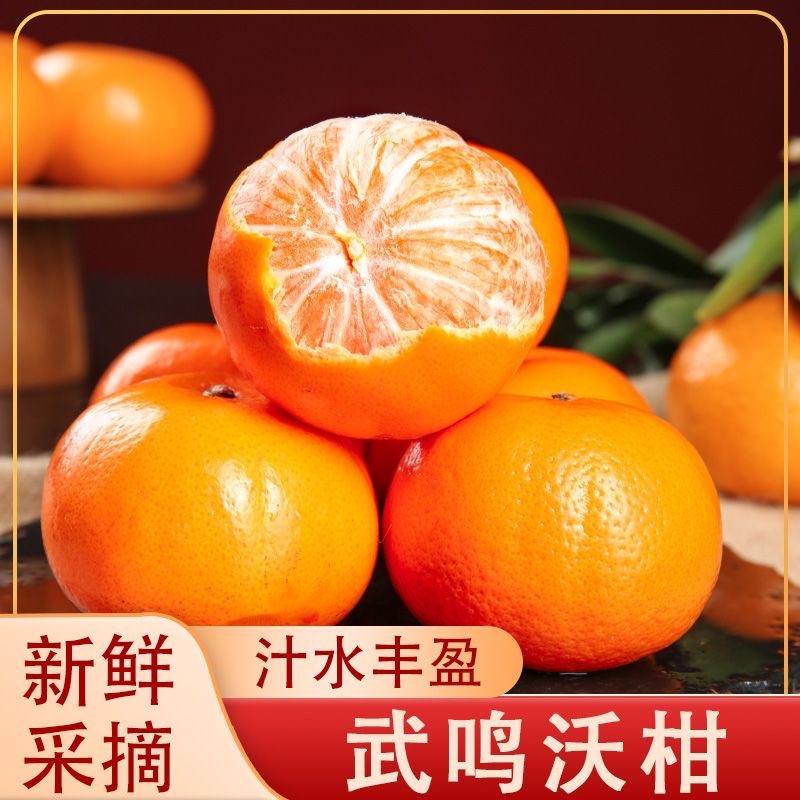 F2【广西武鸣沃柑】当季新鲜现摘水果孕妇果柑橘香甜多汁农家老树