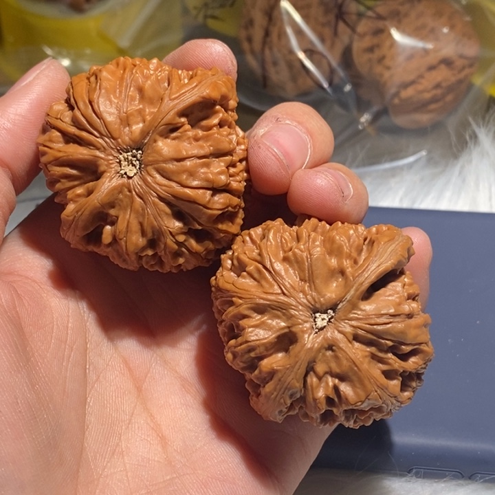 装***桶吊坠文玩核桃精品课程等课程教学