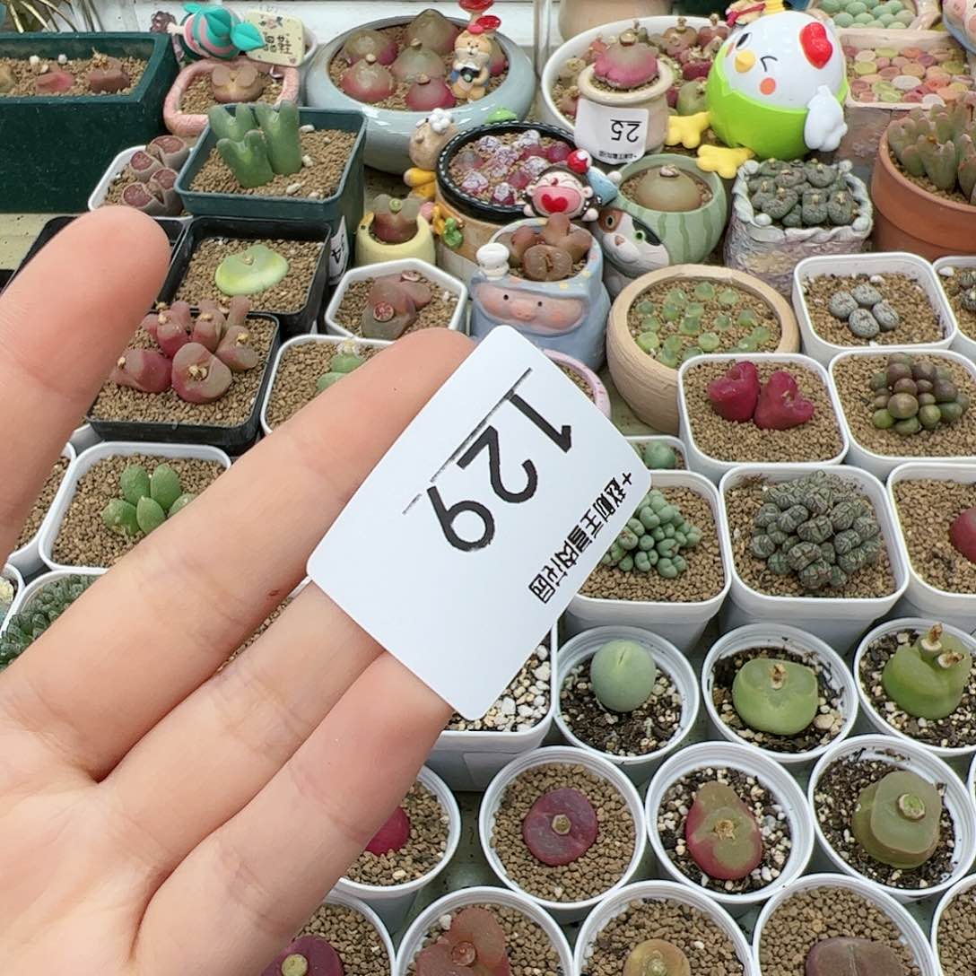 【闪购商品】?***汁129 一起