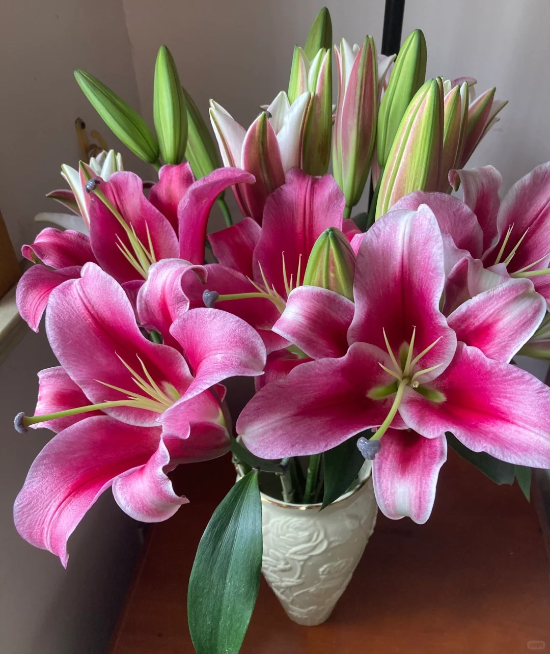 (云南鲜花百合基地）帕拉佐百合4枝保8个花苞，2单升级冷链包邮。