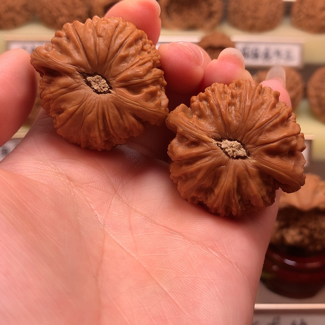 文玩核桃吊坠白狮子40精配