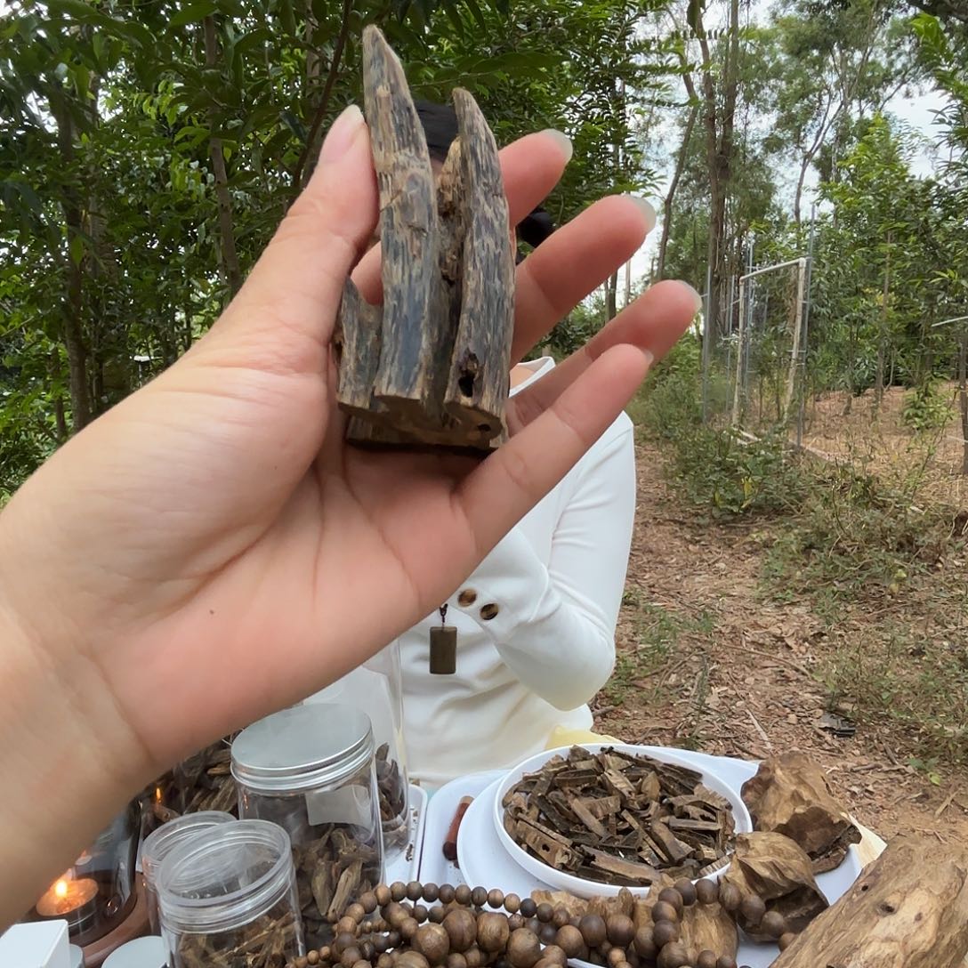 顺***利小摆件红骨凹身19克➕