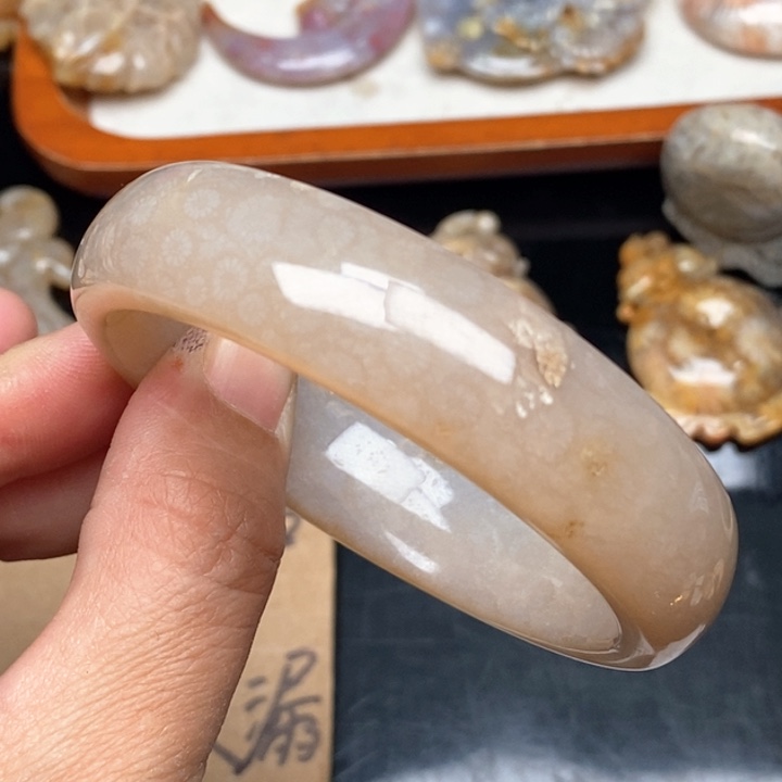 硅化珊瑚（珊瑚玉）颈饰未镶嵌56.8