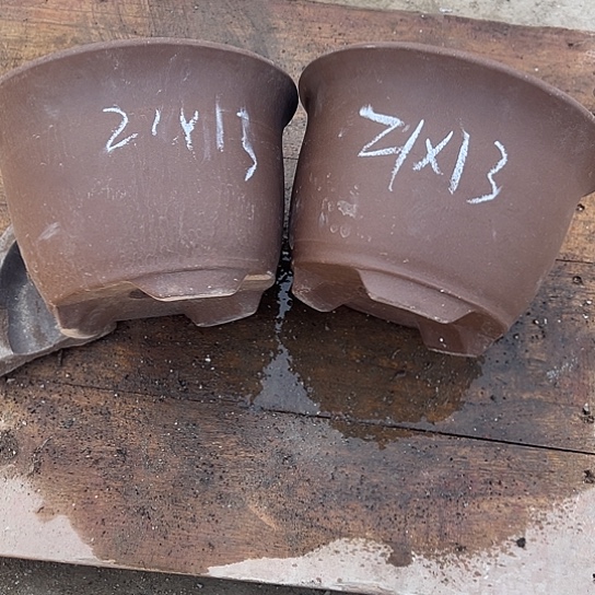 紫砂工艺厂……紫砂工艺厂……