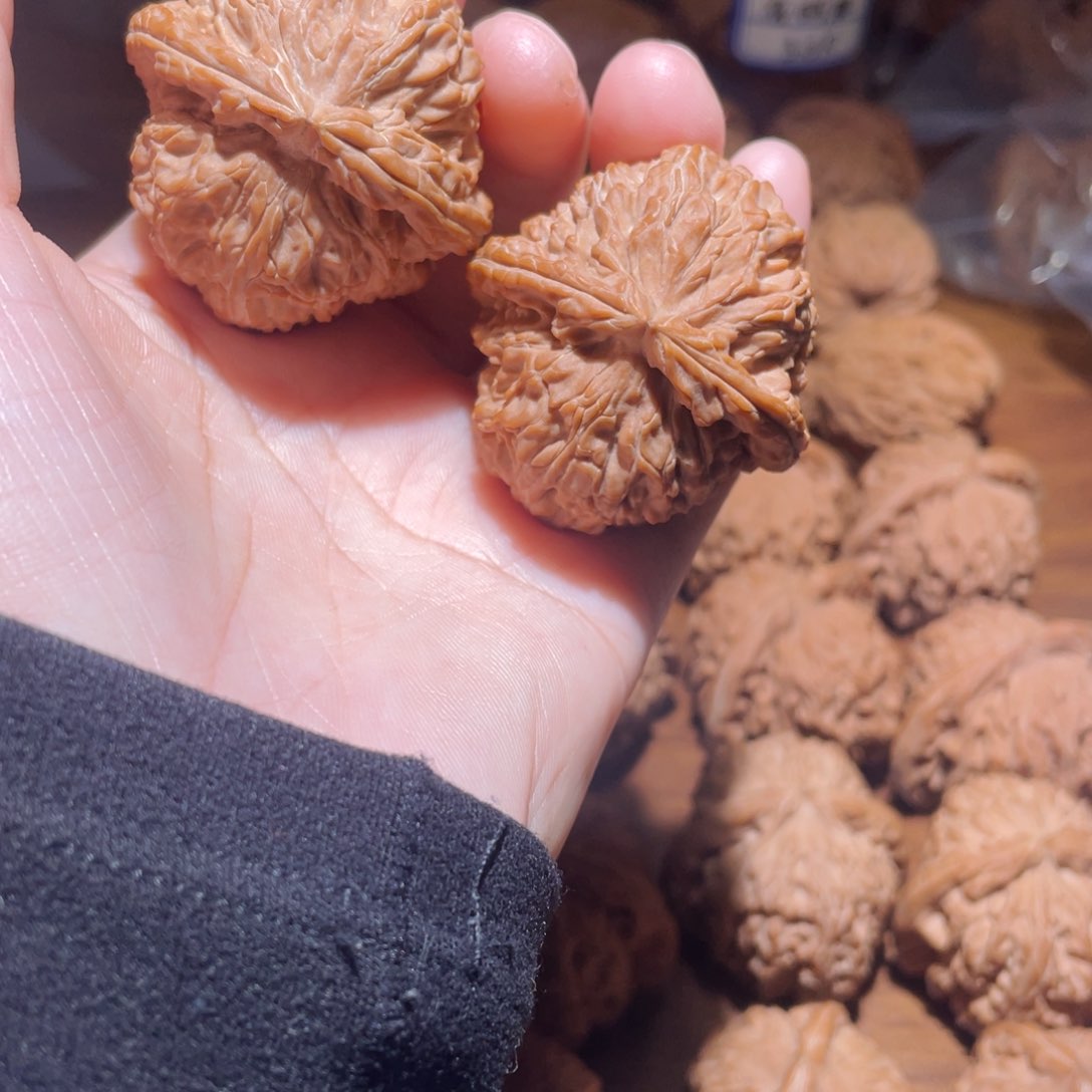 吊坠桃核?40尺白狮子
