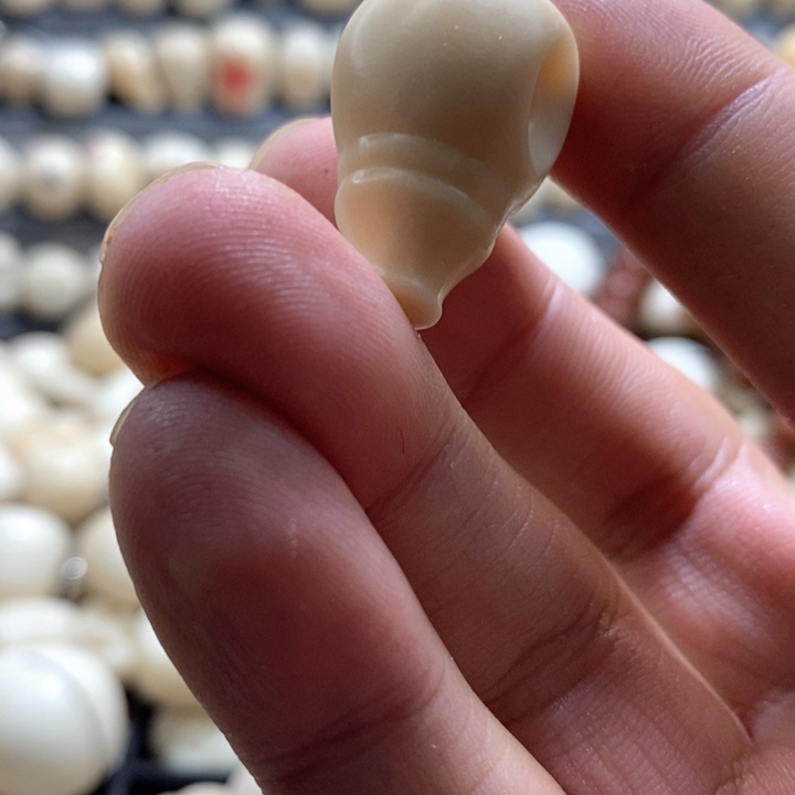 p***y吊坠菩提根/象牙果