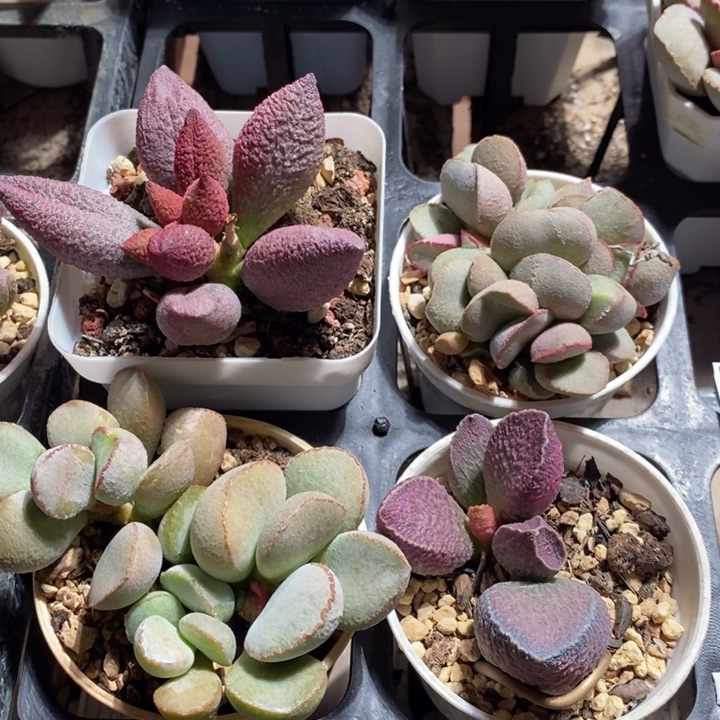 13293一组一组一组